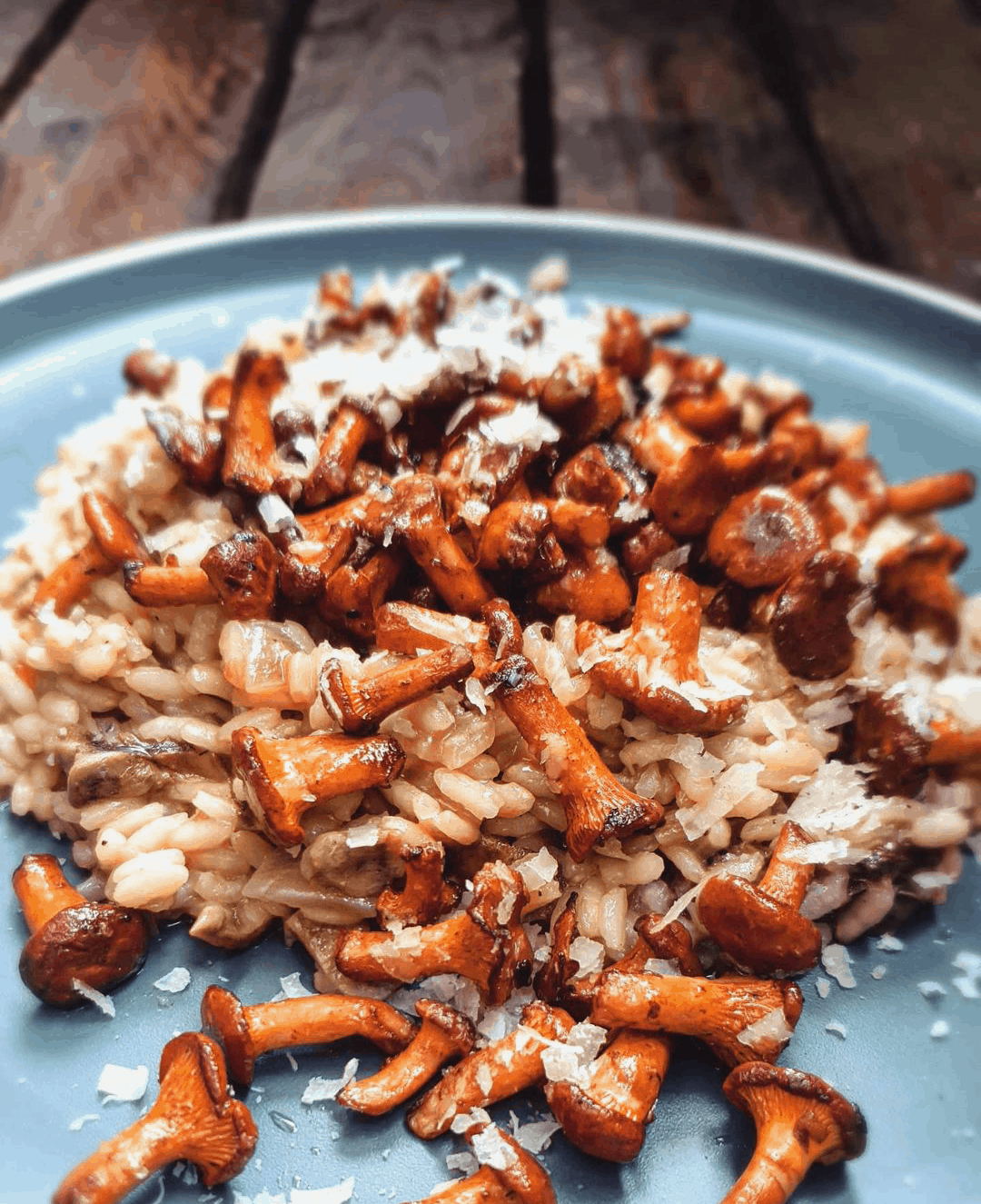 Risotto mit frischen Pfifferlingen, getrockneten Steinpilzen und ...