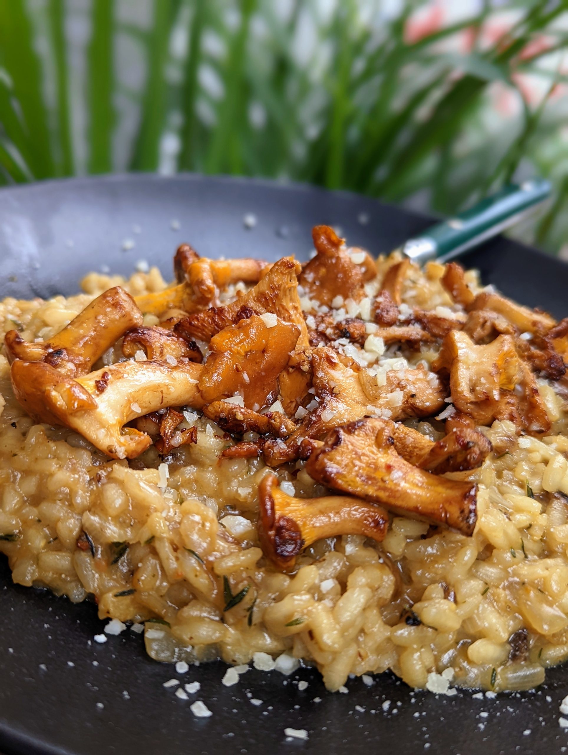 Risotto mit frischen Pfifferlingen, getrockneten Steinpilzen und ...