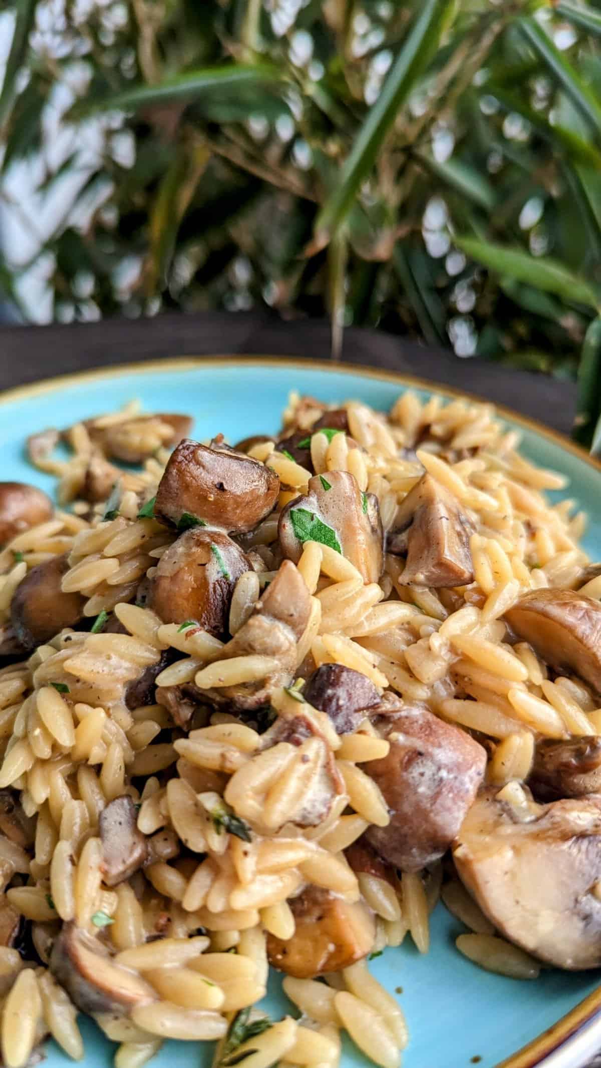 Pilz-Risoni mit braunen Champignons und getrockneten Steinpilzen ...