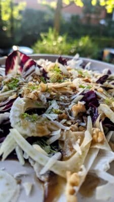 Radiccio-Fenchel-Salat